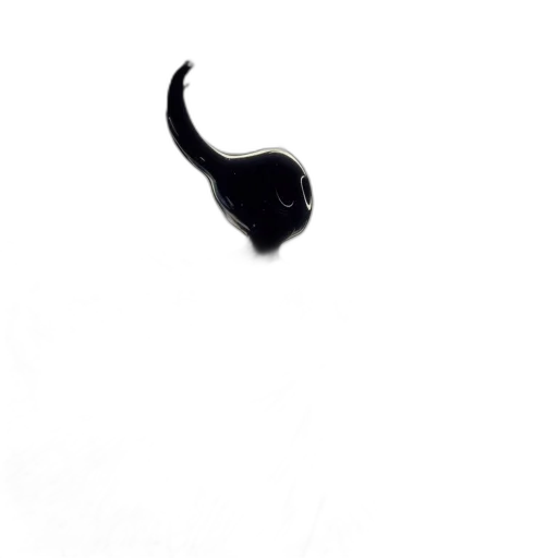 staff, animal, hat, hair transparent PNG cut-out
