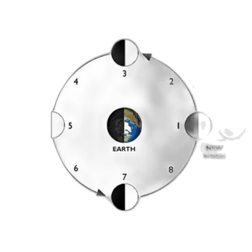 concept art, outer space, diagram, illustrating, phases, moon, showing, earth transparent PNG cut-out