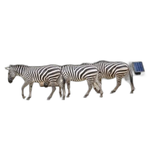 animal, furniture, jewelry, staff, 3d render, concept art, monochrome, three transparent PNG cut-out