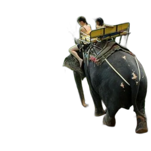 animal, staff, weapon, robot, concept art, 3d render, photorealistic, two transparent PNG cut-out