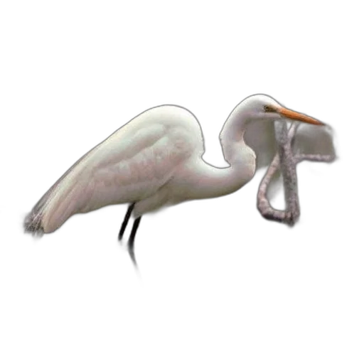 animal, creature, dragon, staff, concept art, 3d render, photorealistic, fantasy art transparent PNG cut-out