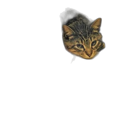 animal, creature, face, staff, photorealistic, pixel art, 3d render, concept art transparent PNG cut-out