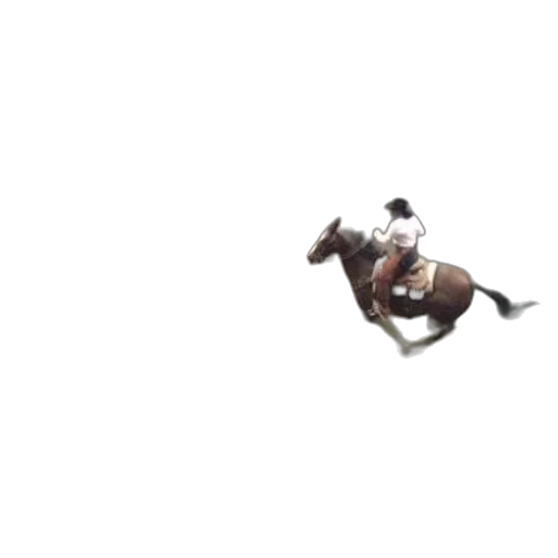 animal, hat, creature, pixel art, photorealistic, concept art, 3d render, cowboy transparent PNG cut-out
