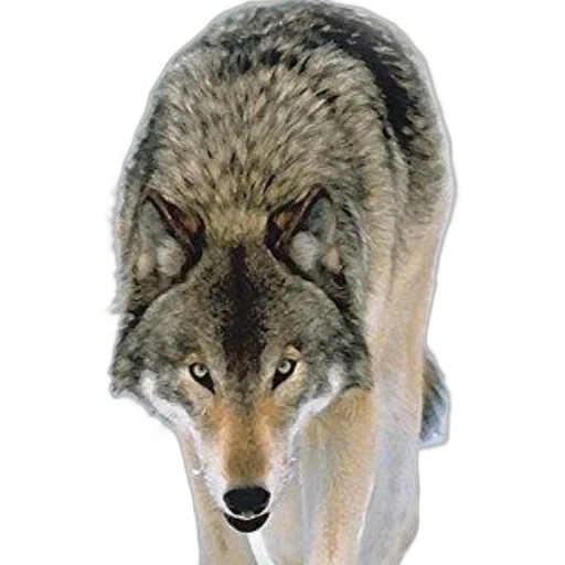 animal, creature, staff, mask, photorealistic, concept art, 3d render, watercolor transparent PNG cut-out