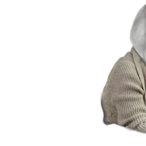 jacket, mask, hat, creature, 3d render, photorealistic, concept art, overcoming transparent PNG cut-out