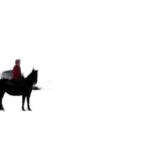 animal, dragon, creature, hat, concept art, pixel art, 3d render, cartoon transparent PNG cut-out