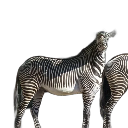 animal, creature, jewelry, furniture, 3d render, photorealistic, concept art, fantasy art transparent PNG cut-out