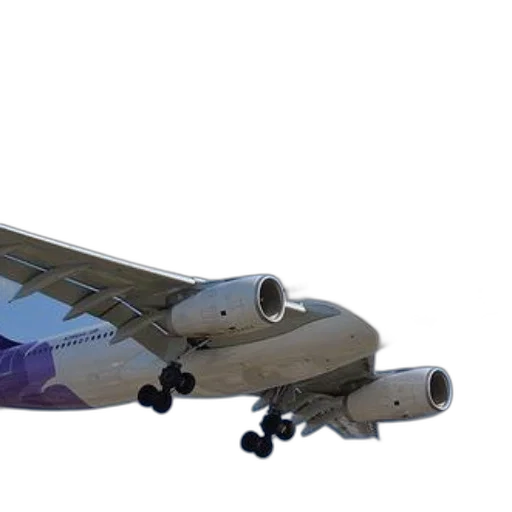 weapon, dragon, 3d render, photorealistic, concept art, vaporwave, hawaiian, airlines transparent PNG cut-out