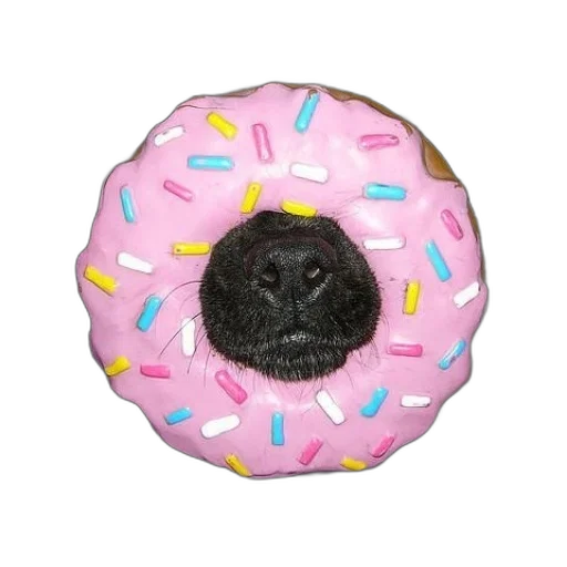food, animal, creature, hat, photorealistic, 3d render, dog, pink transparent PNG cut-out