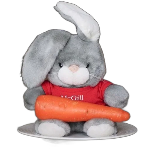 food, animal, 3d render, stuffed, bunny, wearing, red, shirt transparent PNG cut-out