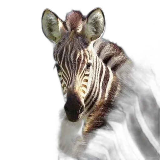 animal, creature, dragon, mask, photorealistic, concept art, fantasy art, 3d render transparent PNG cut-out