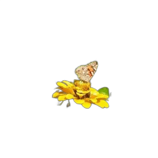 food, jewelry, flower, crown, pixel art, 3d render, photorealistic, concept art transparent PNG cut-out