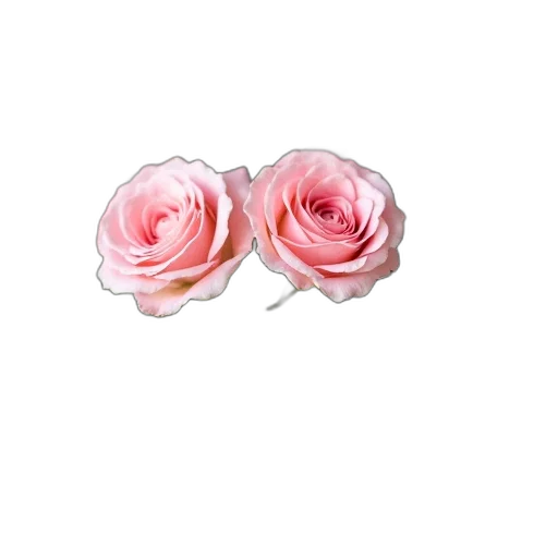 flower, jewelry, crown, staff, 3d render, photorealistic, pixel art, concept art transparent PNG cut-out