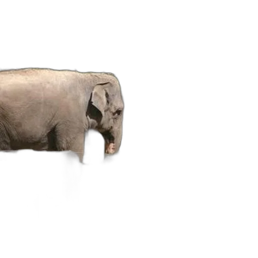 animal, creature, weapon, jewelry, 3d render, photorealistic, concept art, elephants transparent PNG cut-out