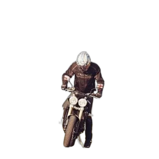 jacket, animal, weapon, creature, concept art, pixel art, 3d render, photorealistic transparent PNG cut-out