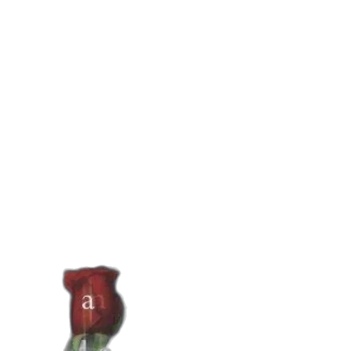 bottle, weapon, hat, shoes, pixel art, concept art, 3d render, photorealistic transparent PNG cut-out