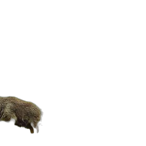 animal, creature, hair, staff, 3d render, concept art, photorealistic, goat transparent PNG cut-out