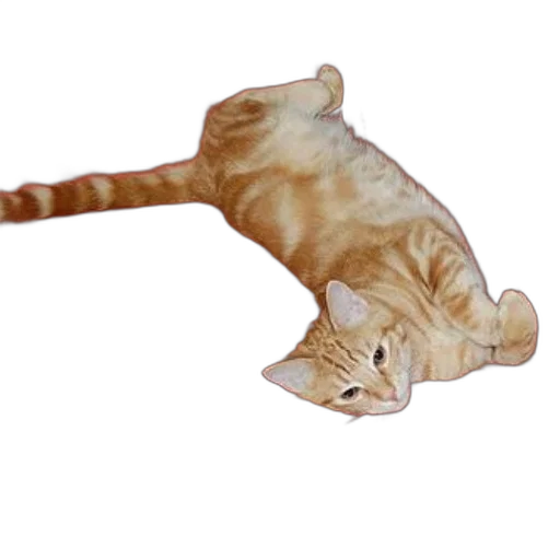 staff, animal, creature, weapon, photorealistic, 3d render, pixel art, concept art transparent PNG cut-out