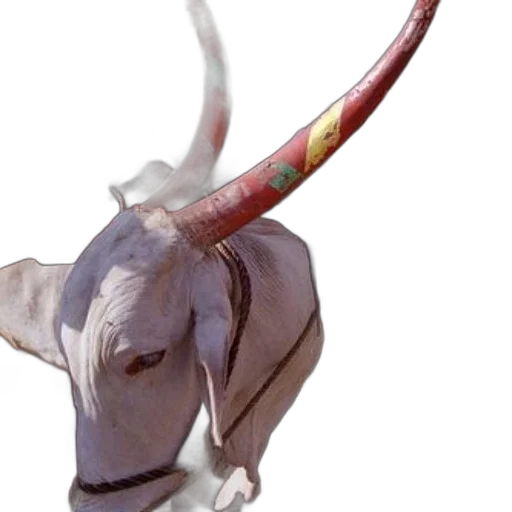 staff, animal, weapon, dragon, 3d render, photorealistic, concept art, watercolor transparent PNG cut-out