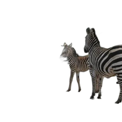 animal, creature, furniture, jewelry, 3d render, concept art, photorealistic, monochrome transparent PNG cut-out