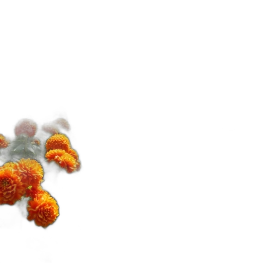 flower, dragon, food, hair, 3d render, photorealistic, concept art, pixel art transparent PNG cut-out