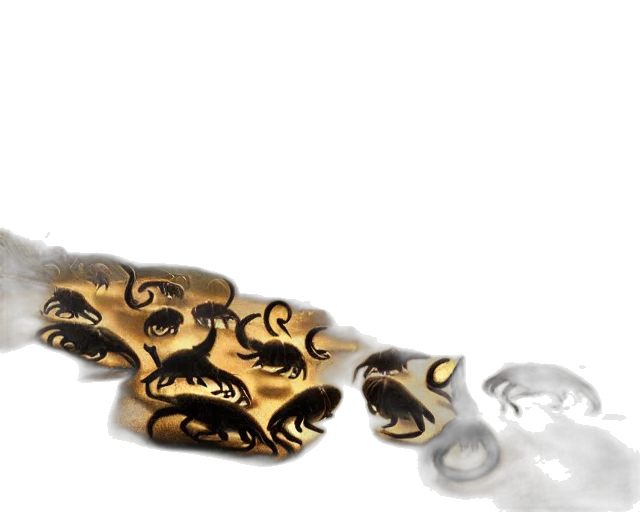jewelry, mask, dragon, crown transparent PNG cut-out