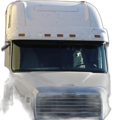 face, photorealistic, concept art, white, freightliner, truck, dog, driver transparent PNG cut-out