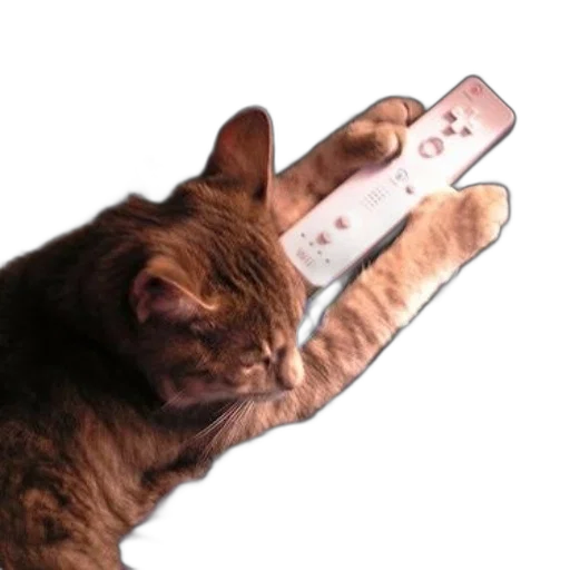 weapon, animal, staff, bottle, vaporwave, photorealistic, concept art, cat transparent PNG cut-out