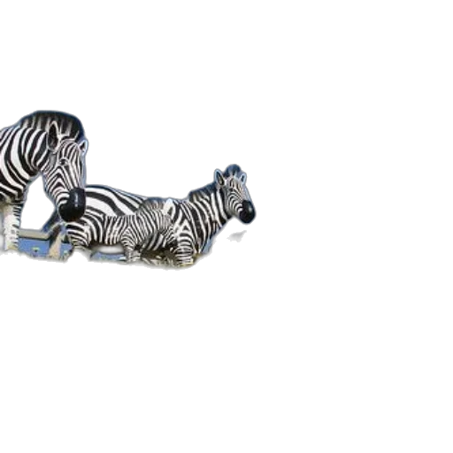jewelry, animal, furniture, shoes, 3d render, concept art, photorealistic, group transparent PNG cut-out