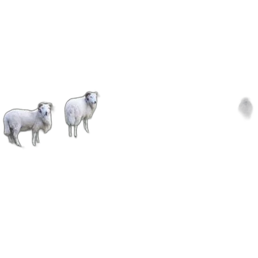 animal, creature, robot, jewelry, 3d render, concept art, pixel art, photorealistic transparent PNG cut-out
