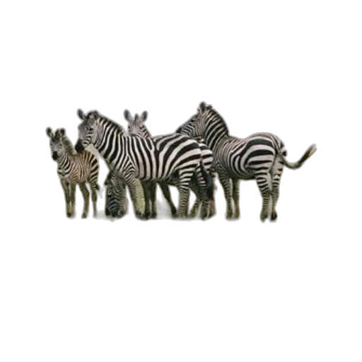 animal, creature, hat, staff, 3d render, concept art, photorealistic, pixel art transparent PNG cut-out