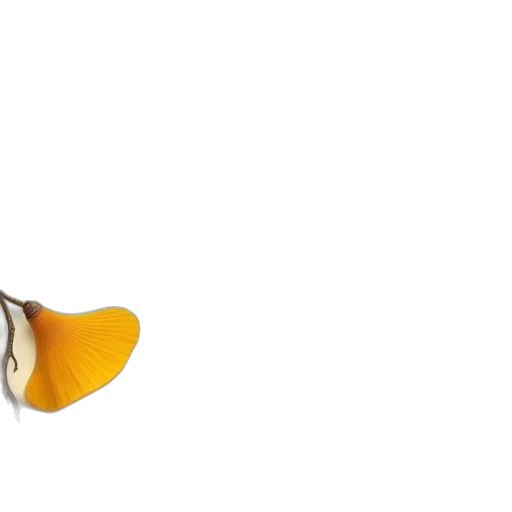 shoes, food, animal, staff transparent PNG cut-out