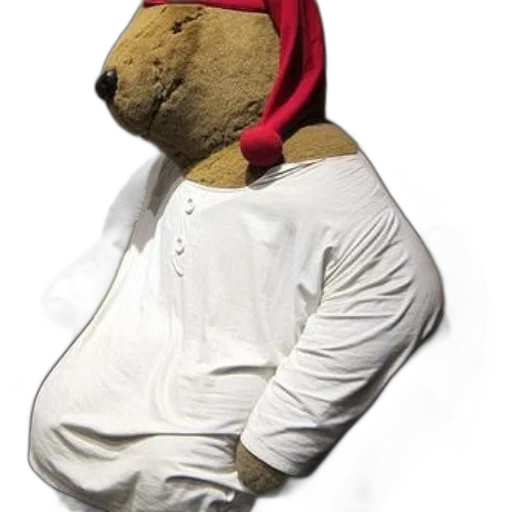 hat, jacket, animal, mask, 3d render, concept art, large, teddy transparent PNG cut-out