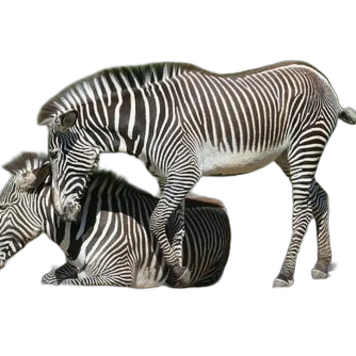 animal, creature, jewelry, furniture, 3d render, photorealistic, concept art, fantasy art transparent PNG cut-out
