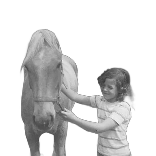 animal, creature, photorealistic, pencil sketch, oil painting, concept art, young, girl transparent PNG cut-out