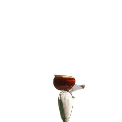 flower, bottle, furniture, jewelry, 3d render, photorealistic, oil painting, concept art transparent PNG cut-out