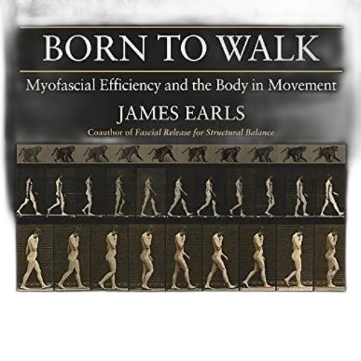 born, walk, myofascial, efficiency, body, movement, james, earls transparent PNG cut-out
