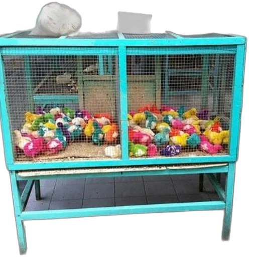 furniture, pastel, blue, vibrant, turquoise, cage, filled, colorful transparent PNG cut-out