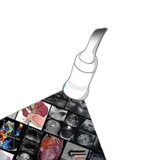 bottle, umbrella, staff, crown, outer space, cover, small, animal transparent PNG cut-out