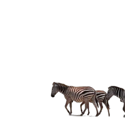 animal, creature, furniture, car, 3d render, concept art, photorealistic, forest transparent PNG cut-out