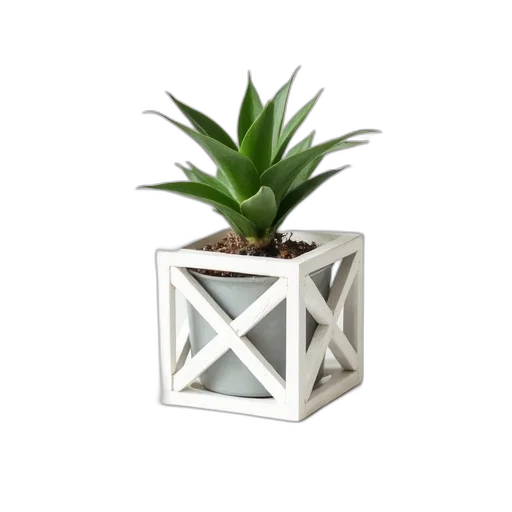 crown, furniture, flower, jewelry, 3d render, photorealistic, concept art, small transparent PNG cut-out