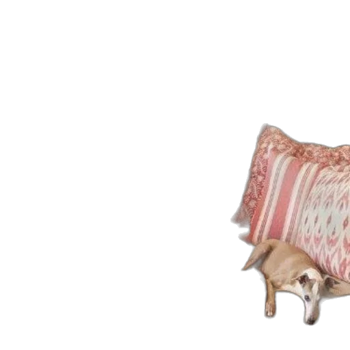 furniture, animal, umbrella, hat transparent PNG cut-out