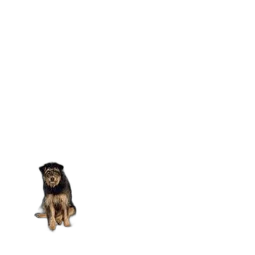 animal, creature, staff, hair, pixel art, 3d render, concept art, photorealistic transparent PNG cut-out