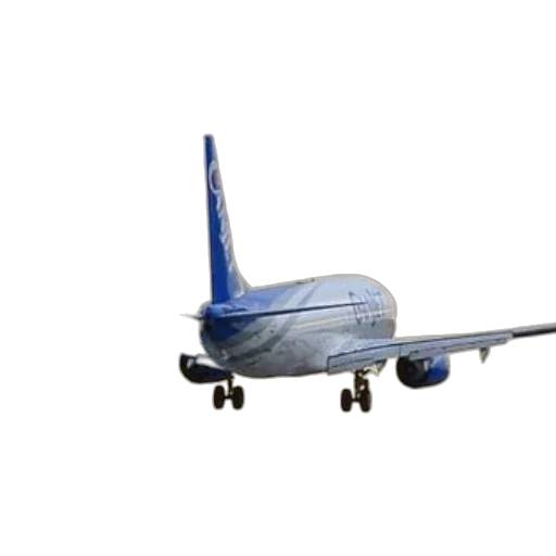 staff, animal, 3d render, photorealistic, united, airlines, airplane, takes transparent PNG cut-out
