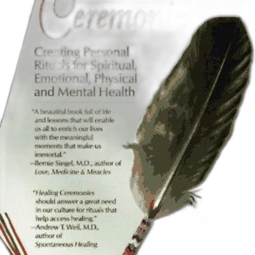 crown, book, cover, feather, incense, sticks, titled, healing transparent PNG cut-out