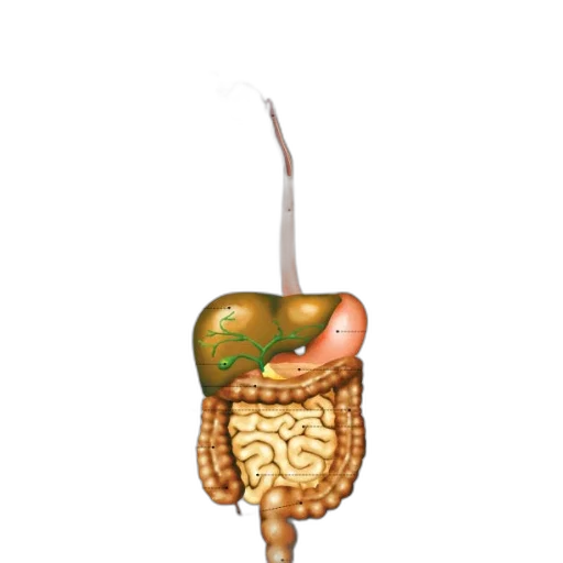 food, staff, crown, jewelry, concept art, pixel art, 3d render, photorealistic transparent PNG cut-out
