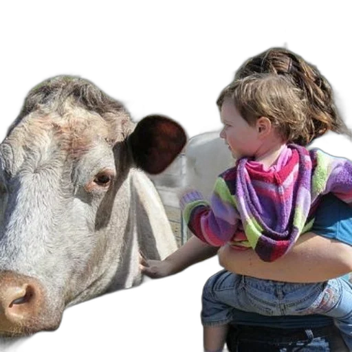animal, creature, photorealistic, child, colorful, blanket, being, held transparent PNG cut-out