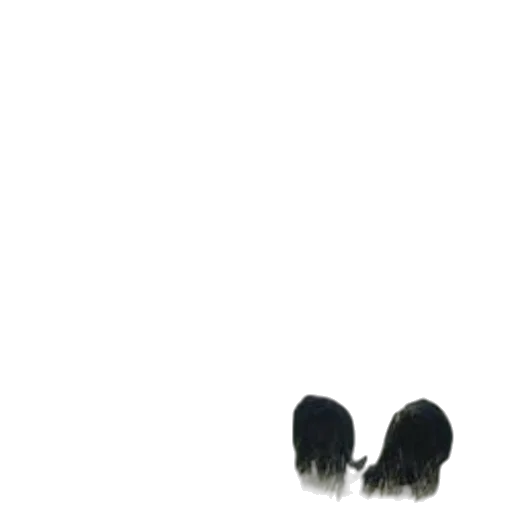 shoes, hair, hat, mask, photorealistic, 3d render, concept art, fog transparent PNG cut-out