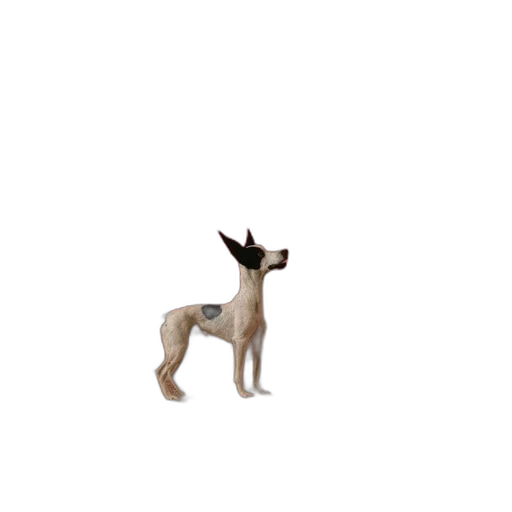 animal, creature, staff, dragon, 3d render, concept art, pixel art, photorealistic transparent PNG cut-out