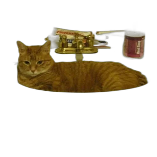 jewelry, staff, animal, robot, photorealistic, 3d render, ginger, cat transparent PNG cut-out